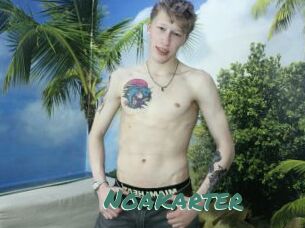 Noakarter