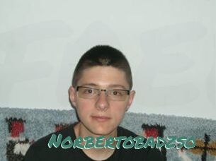 Norbertobadzso