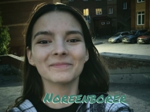 Noreenborer