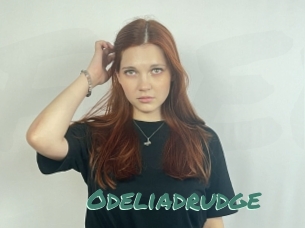 Odeliadrudge