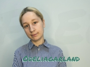Odeliagarland