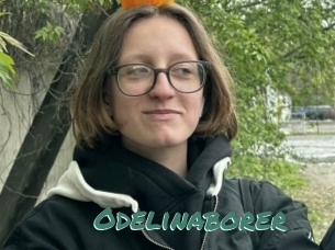 Odelinaborer