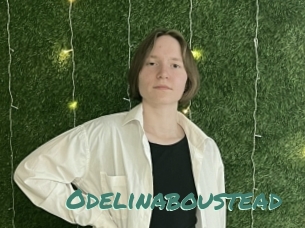 Odelinaboustead