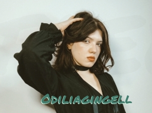 Odiliagingell