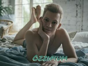 Ozzipium