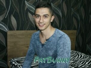 PatBunny
