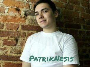 PatrikNesis