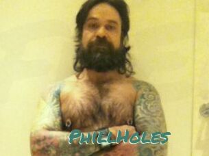PhillHoles