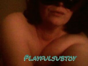 Playfulsubtoy