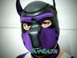 PupRaja