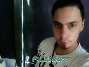 Pileeross