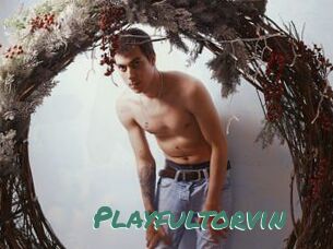 Playfultorvin