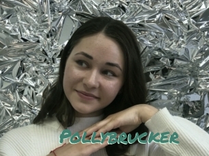 Pollybrucker