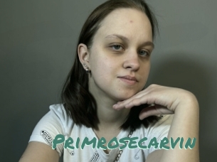Primrosecarvin