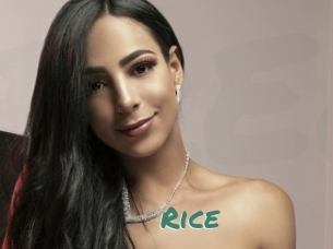 Rice