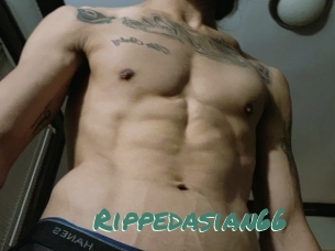 Rippedasian66