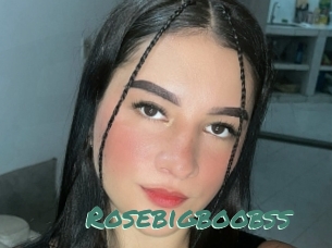 Rosebigboobss