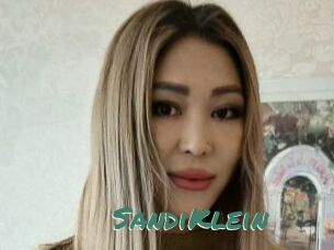 SandiKlein