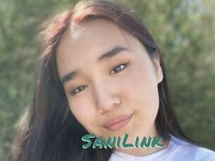 SaniLink