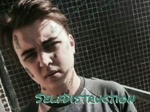 SelfDistruction
