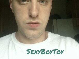 SexyBoyToy