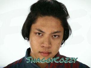 ShaggyCozzy