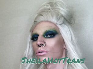 SheilaHotTrans