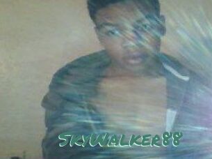 SkyWalker88