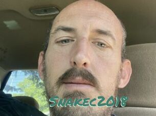 Snakec2018