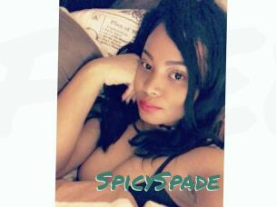 SpicySpade