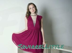 SquirrelLittle