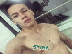 Stier