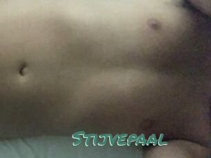 Stijvepaal
