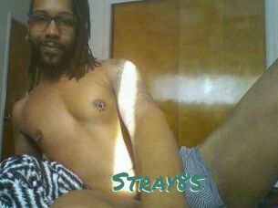 Stray85
