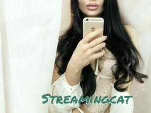 Streamingcat