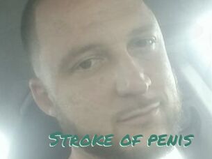 Stroke_of_penis