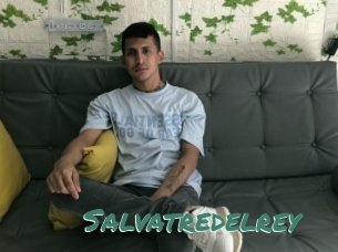 Salvatredelrey