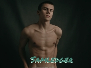 Samledger