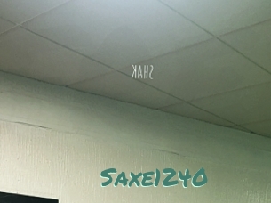 Saxe1240