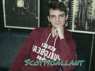 Scottygallant