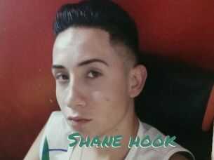 Shane_hook