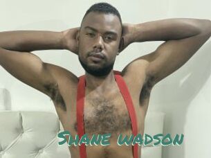 Shane_wadson