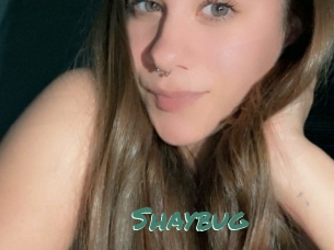 Shaybug