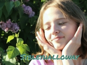 Sibleyhalloway