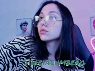 Silicialumberg