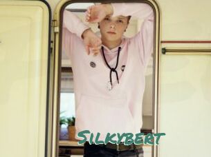 Silkybert