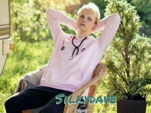 Silkydave
