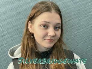 Silverbridgewate