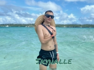 Skyhalle