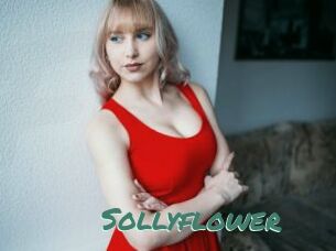 Sollyflower